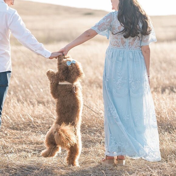 PINKBLUSH Light Blue Maternity Lace Mesh Overlay Maxi Dress - Picture 3 of 11